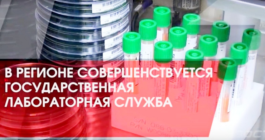 В Волгограде совершенствуется государственная лабораторная служба. Видео